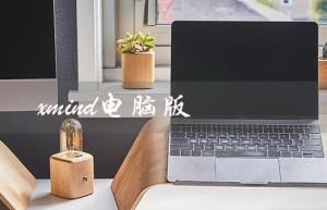 xmind电脑版（xmind电脑版是否收费）
