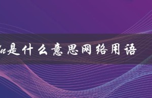ddn是什么意思网络用语（什么是diy网络用语）