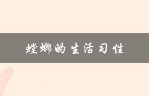 螳螂的生活习性（螳螂的生活方式及特点是什么）