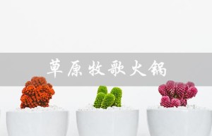 草原牧歌火锅（草原牧歌火锅官网是什么）