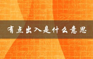 有点出入是什么意思（想法出入的含义是什么）