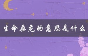 生命垂危的意思是什么（生命垂危的危是什么）