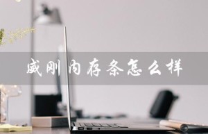 威刚内存条怎么样（威刚内存条好用吗）