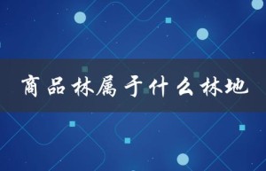 商品林属于什么林地（商品林是否算林地）