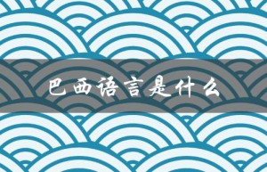 巴西语言是什么（巴西语是什么语言）