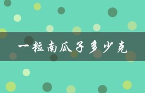 一粒南瓜子多少克（南瓜子一把多少克）