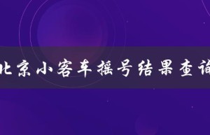 北京小客车摇号结果查询（北京小客车摇号查询入口是什么）