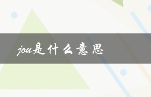 jou是什么意思（journey的意思是什么）