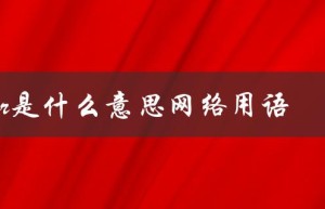 wor是什么意思网络用语（wor网络用语是什么）