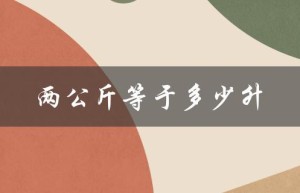 两公斤等于多少升（两公斤水等几升）
