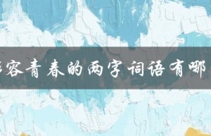 形容青春的两字词语有哪些（青春年少的词语两字是什么）