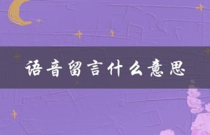 语音留言什么意思（什么是语音留言）