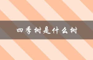 四季树是什么树（四季树的寓意是什么（15个字符））