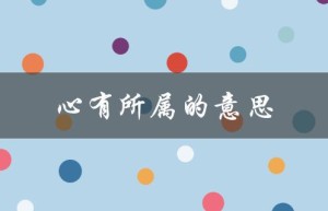 心有所属的意思（心向何方有所属）