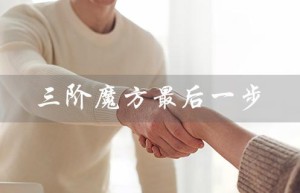 三阶魔方最后一步（三阶魔方最后一步怎么做）