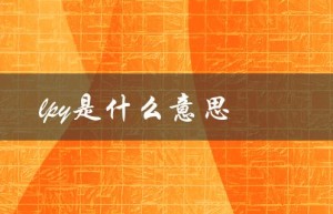 lpy是什么意思（lpy网络是什么）
