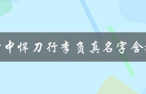 雪中悍刀行李负真名字含义解析