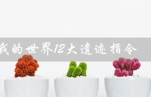 我的世界12大遗迹指令（如何传送到我的世界12大遗迹）