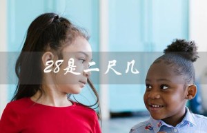 28是二尺几（28腰围是多少）