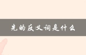 先的反义词是什么（反义词是什么）