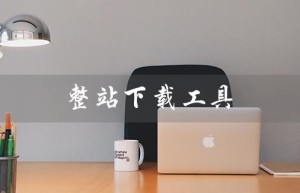 整站下载工具（整站下载工具检测）