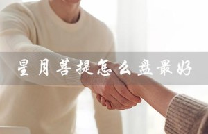 星月菩提怎么盘最好（星月菩提最佳最快盘法）