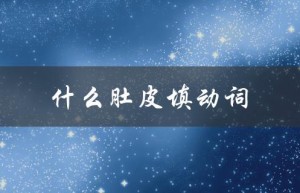 什么肚皮填动词（什么填动词两字）