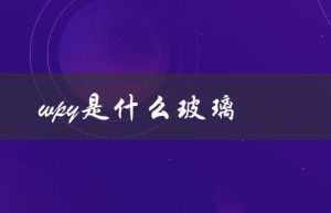 wpy是什么玻璃（wpy意思是什么）