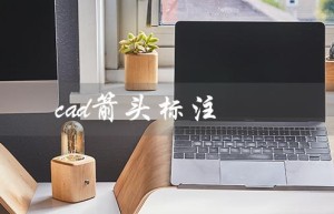 cad箭头标注（如何做cad箭头标注）