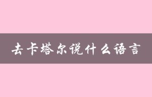 去卡塔尔说什么语言（卡塔尔用何语言）