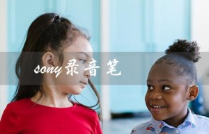sony录音笔（索尼录音笔按键功能介绍）