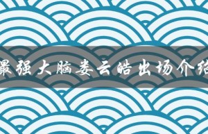 最强大脑娄云皓出场介绍（最强大脑记忆训练法是什么）