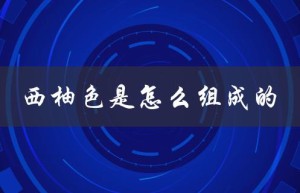 西柚色是怎么组成的（什么是西柚色眼影）