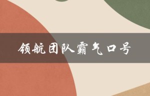 领航团队霸气口号（团队打气口号是什么）