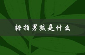 拇指男孩是什么（拇指男孩是什么）
