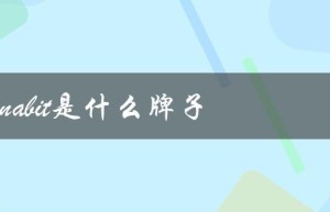 panabit是什么牌子（网络管理软件厂商）
