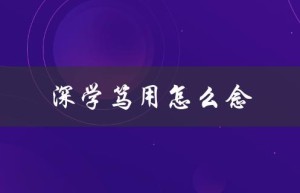 深学笃用怎么念（大学怎么深度学习）