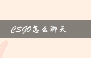 CSGO怎么聊天（csgo聊天打字怎么操作）