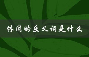 休闲的反义词是什么（悠闲的反义词是什么）