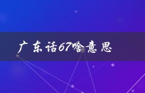 广东话67啥意思（广东话67转弯是什么意思）