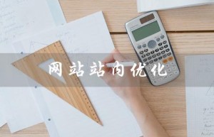 网站站内优化（网站站内优化技巧是什么）