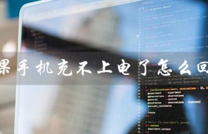 苹果手机充不上电了怎么回事（苹果手机充不上电显示不支持，怎么办）