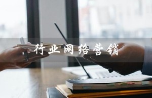 行业网络营销（行业网络营销方案）