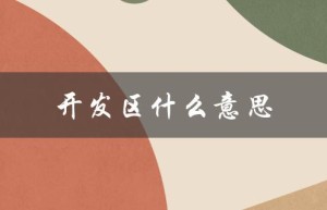开发区什么意思（开发区适合什么店）