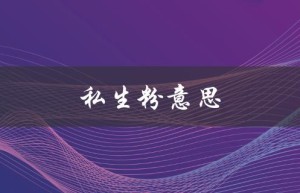 私生粉意思（私生粉是什么）