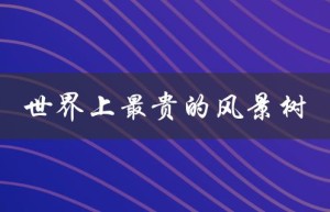 世界上最贵的风景树（世界上最大的风景树是什么）