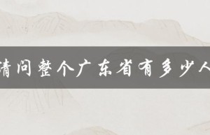 请问整个广东省有多少人（广东省企业总数）