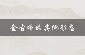 金古桥的其他形态（金古桥终极形态是什么）