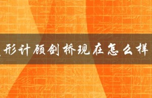 变形计顾剑桥现在怎么样了（节目的成功与争议）