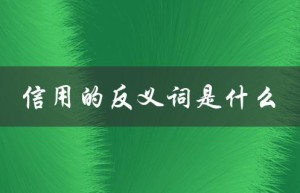 信用的反义词是什么（信用的反义词是什么（15个字符））